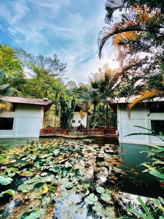 Bidaisari Resort Bentong Esterno foto